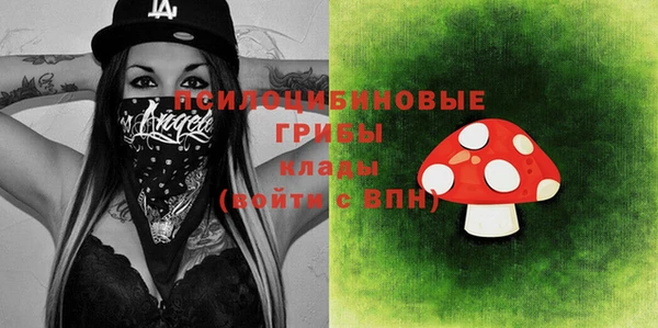 прущий лед Бронницы