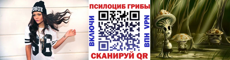 Псилоцибиновые грибы Cubensis  как найти   hydra tor  Дагестанские Огни 