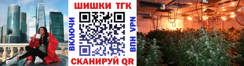 Бошки марихуана план  MEGA сайт  сайты даркнета телеграм  наркошоп  Дагестанские Огни 